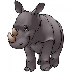 rhinoceros-color01-300x300